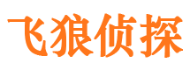 仙游市侦探公司